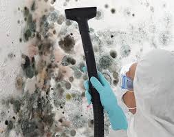 Environmental Consulting for Mold Prevention in Woodson Terrace, MO